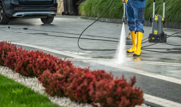 Best Patio and Deck Pressure Washing  in London, CA